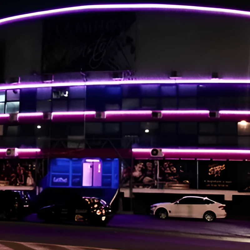 NEON FLEX